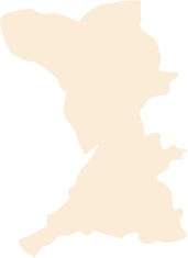 Region 11
